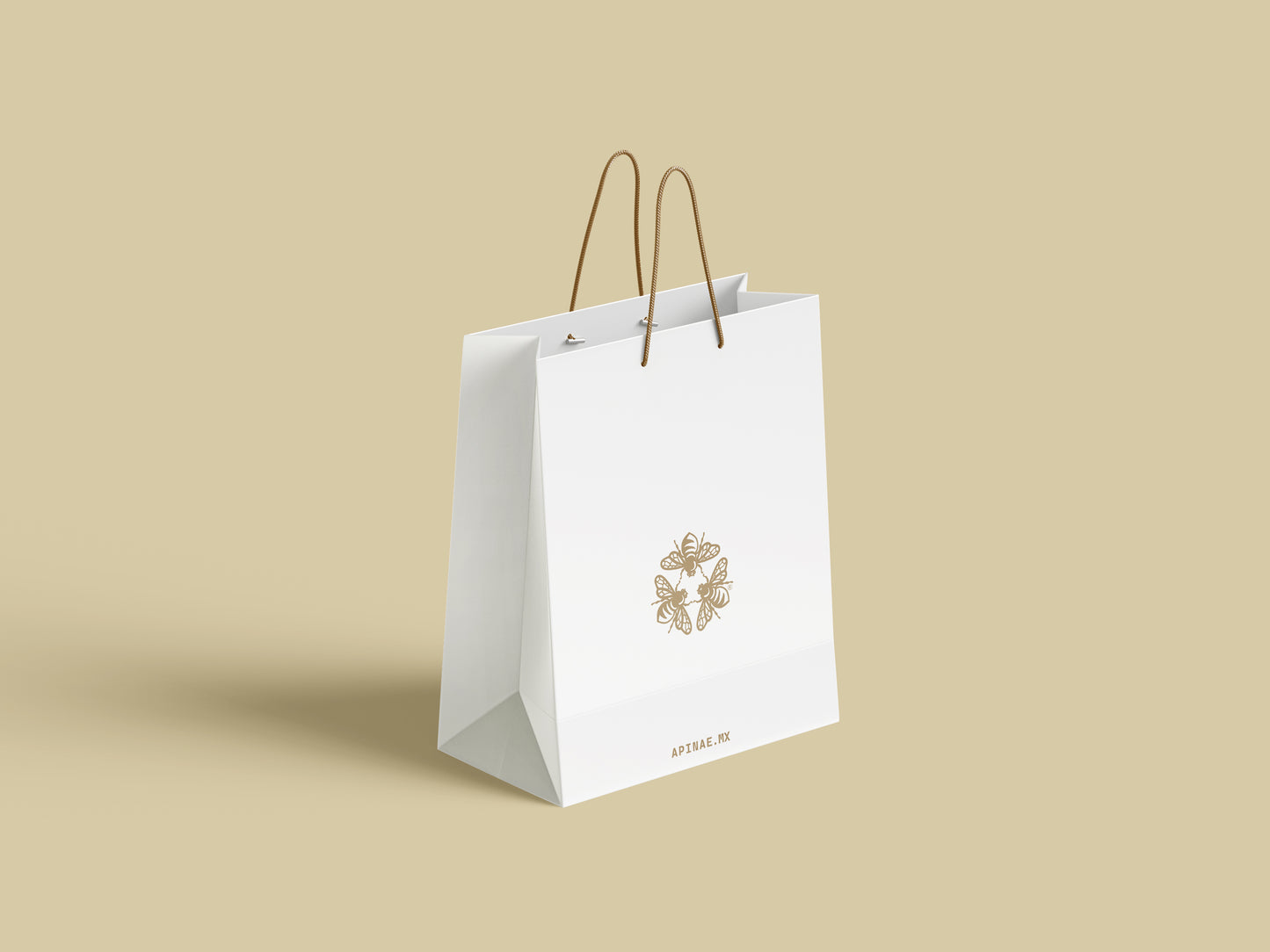Gift Bag